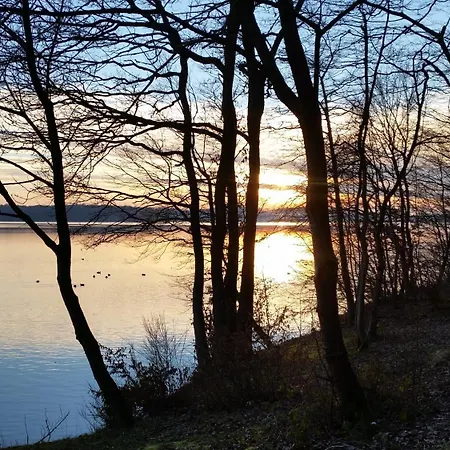 La Maison D'architecte En Pleine Nature - Le 