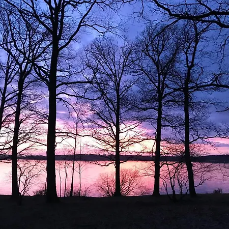 La Maison D'architecte En Pleine Nature - Le 
