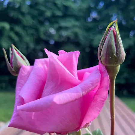 La Maison D'architecte En Pleine Nature - Le 