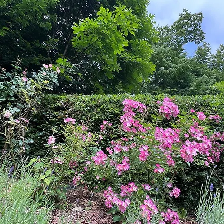 La Maison D'architecte En Pleine Nature - Le 