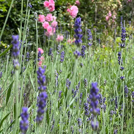 La Maison D'architecte En Pleine Nature - Le 