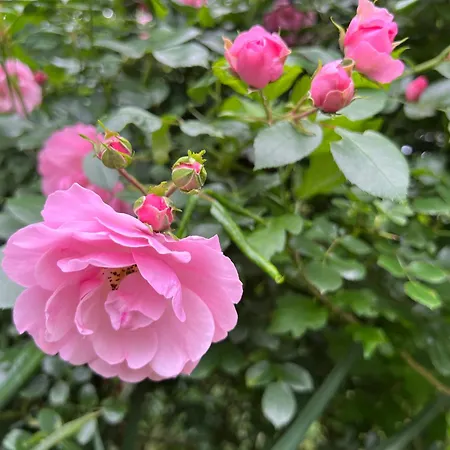 La Maison D'architecte En Pleine Nature - Le 