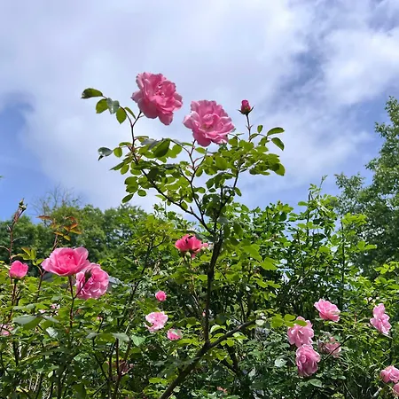 Ferienhaus La Maison D'architecte En Pleine Nature - Le 